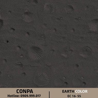 earth color – ec 16 – ss